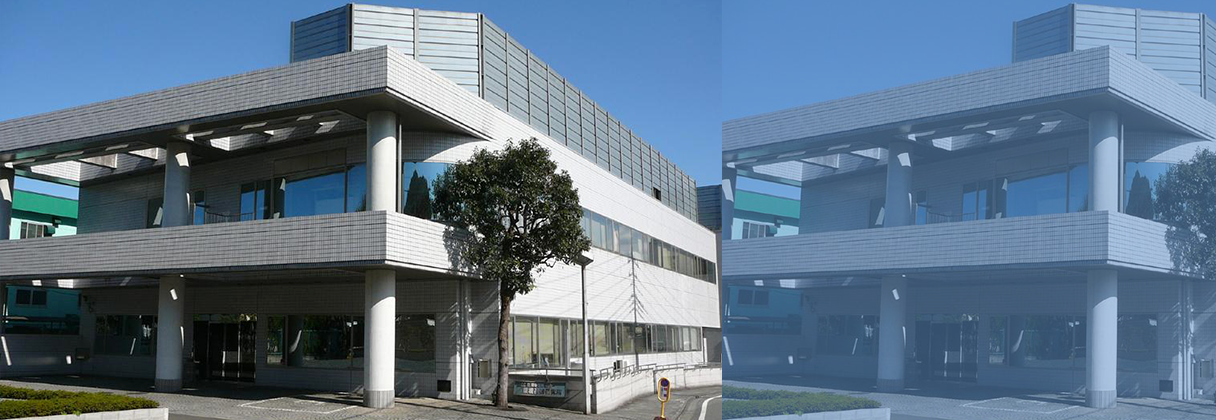 会社概要・加入団体