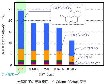 Contribution of Nitro-PAHs to the Mutagenic Activity of Size-Fractionated Particles