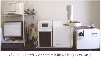 Gas Chromatography-Tandem Mass Spectrometer (GC-MS/MS)