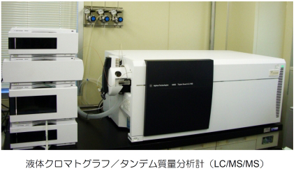 Liquid Chromatography-Tandem Mass Spectrometer (LC-MS/MS)