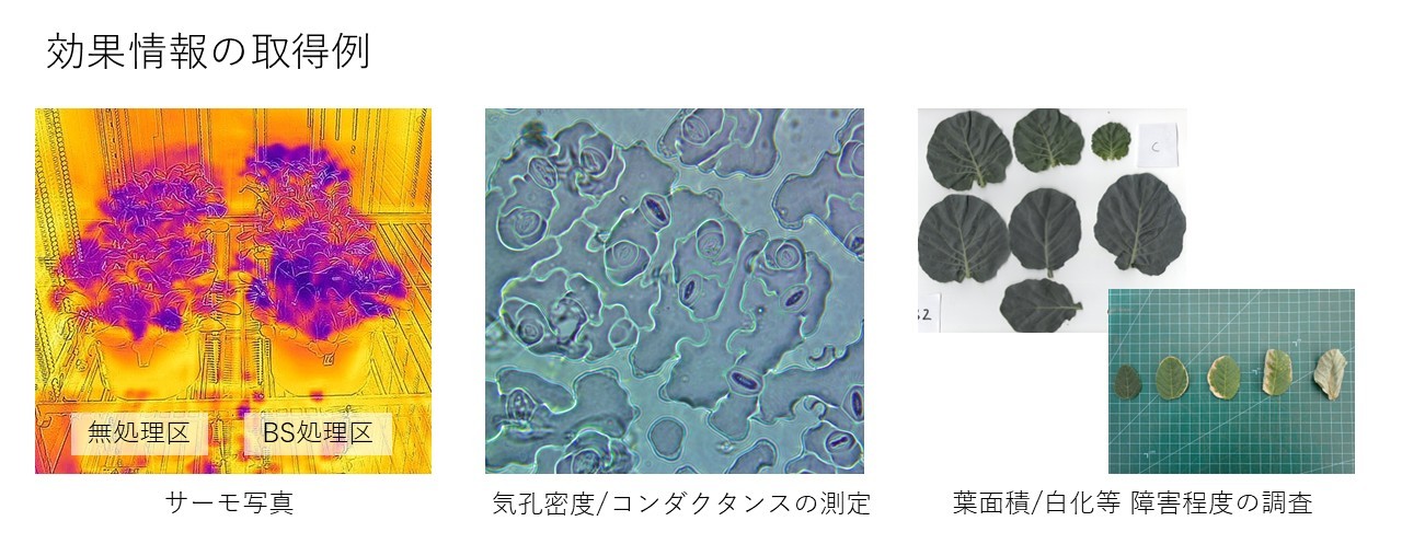 効果情報の取得例