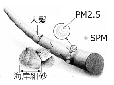 PMの大きさ（人髪や海岸細砂）との比較（概念図）（出典：USEPA資料）