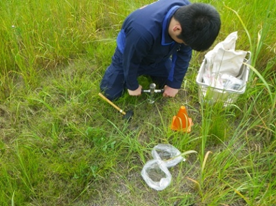 土壌採取状況