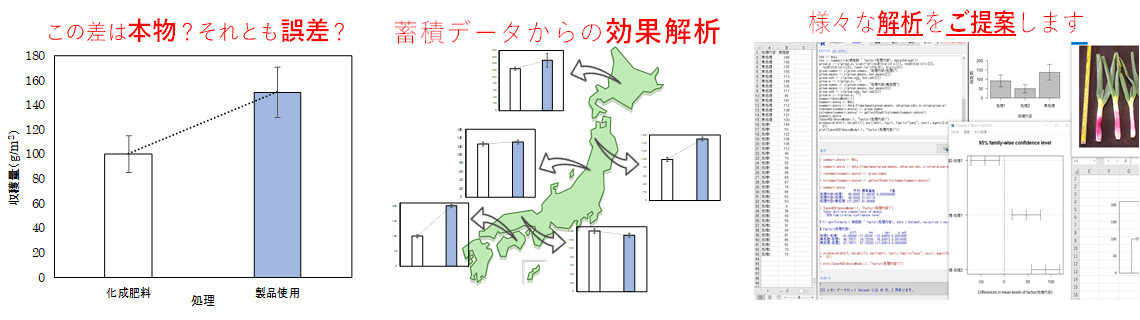 効果を取りまとめる統計手法