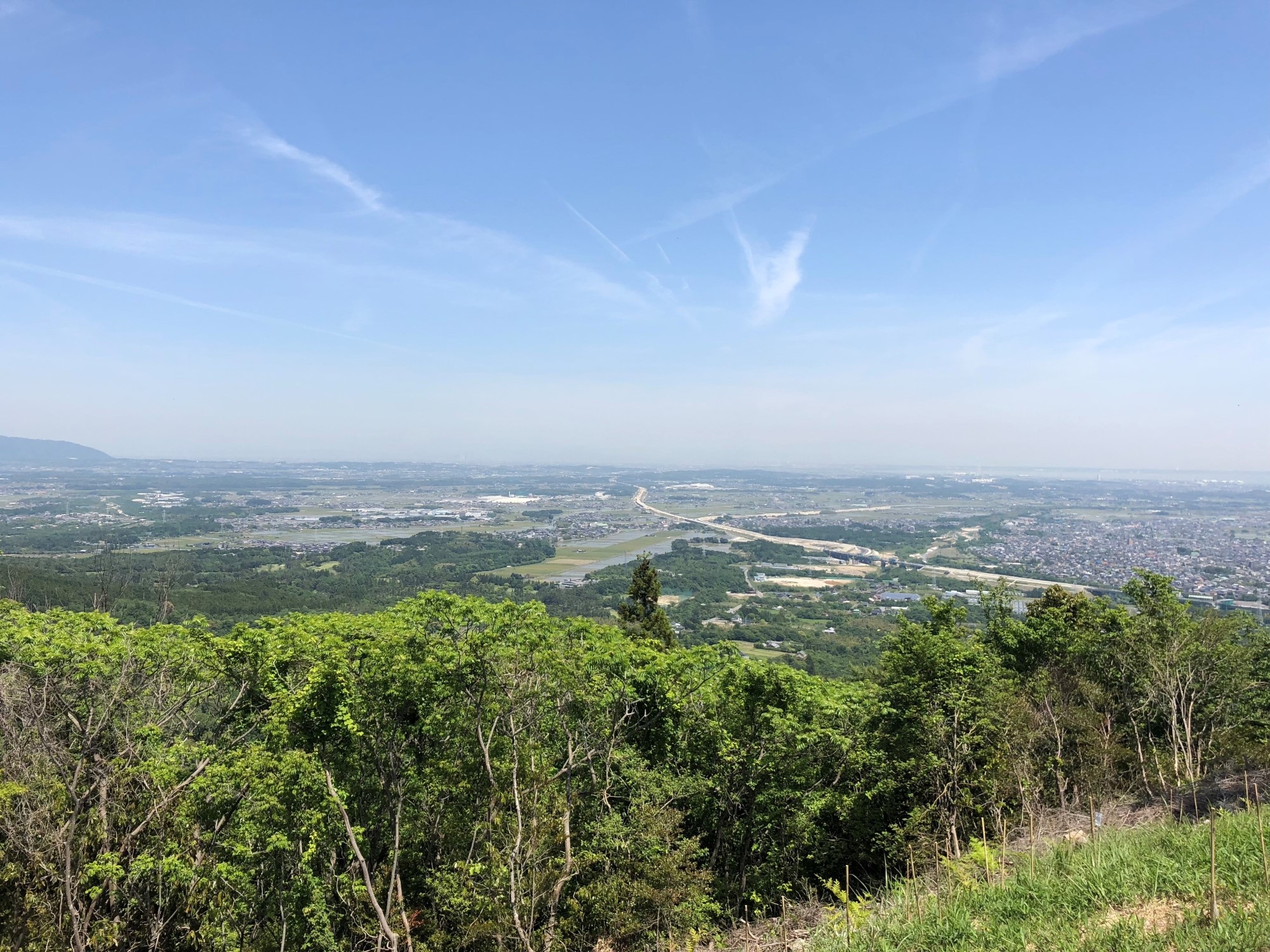 丘から市街地を見下ろした風景