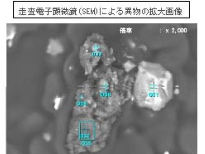 走査電子顕微鏡（SEM）による異物の拡大画像
